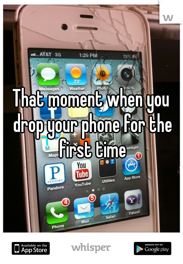 That moment when you drop your phone for the first time