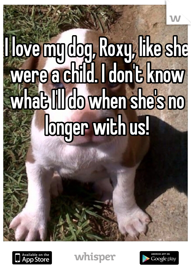 I love my dog, Roxy, like she were a child. I don't know what I'll do when she's no longer with us!