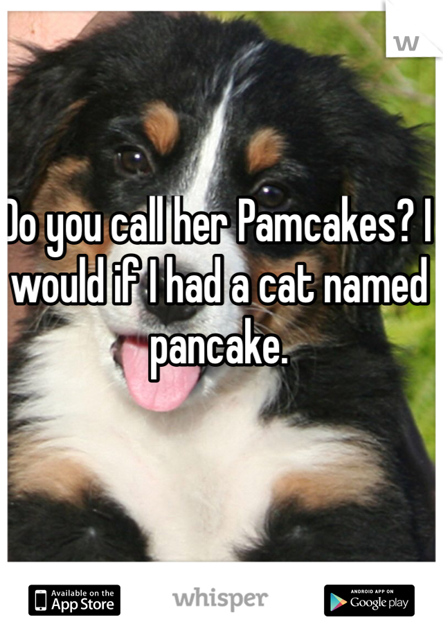 Do you call her Pamcakes? I would if I had a cat named pancake. 