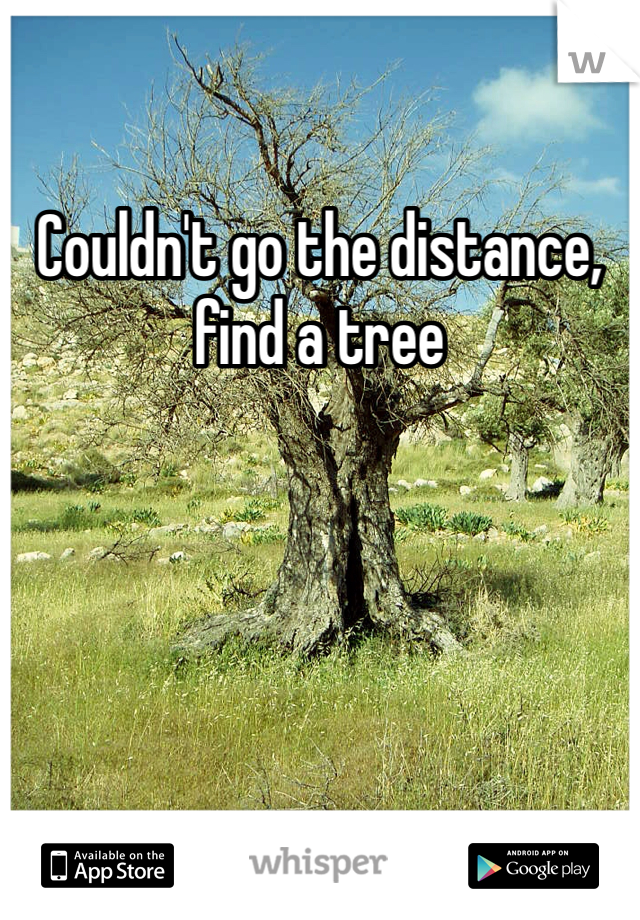 Couldn't go the distance, find a tree