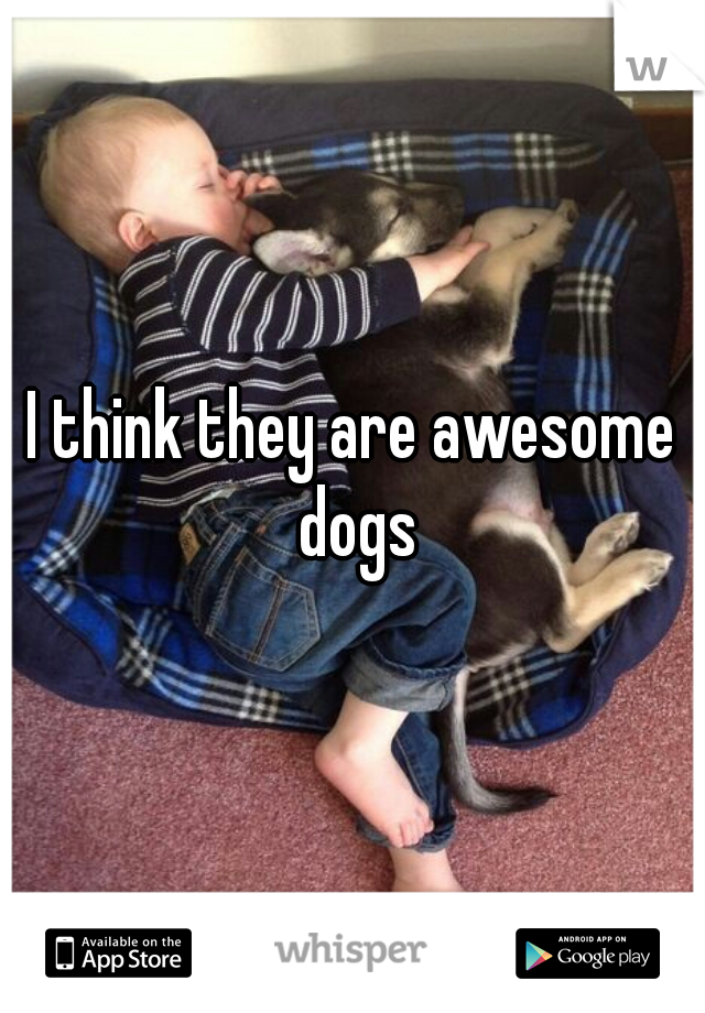 I think they are awesome dogs
