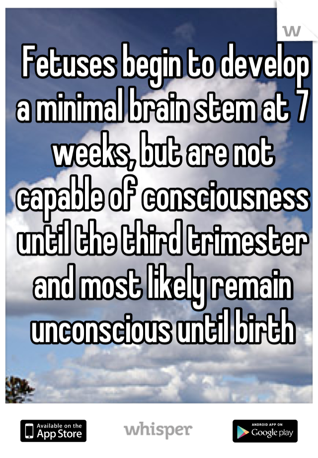  Fetuses begin to develop a minimal brain stem at 7 weeks, but are not capable of consciousness until the third trimester and most likely remain unconscious until birth