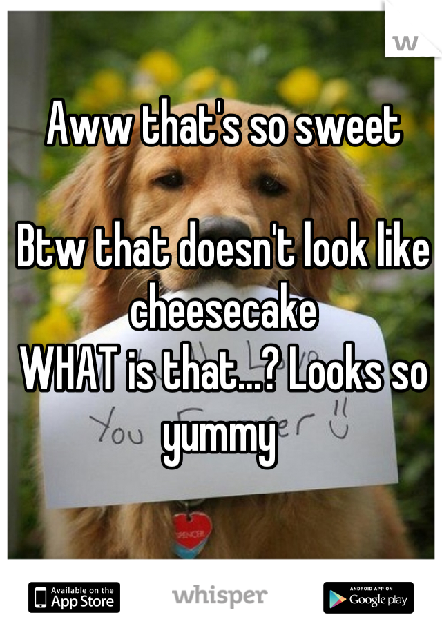 Aww that's so sweet 

Btw that doesn't look like cheesecake 
WHAT is that...? Looks so yummy 