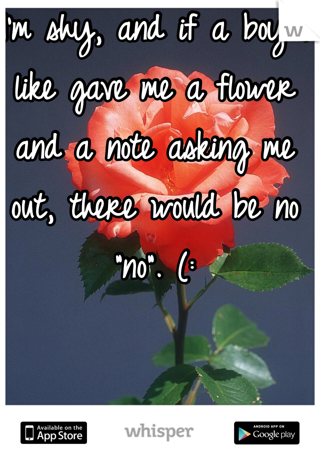 I'm shy, and if a boy I like gave me a flower and a note asking me out, there would be no "no". (: 