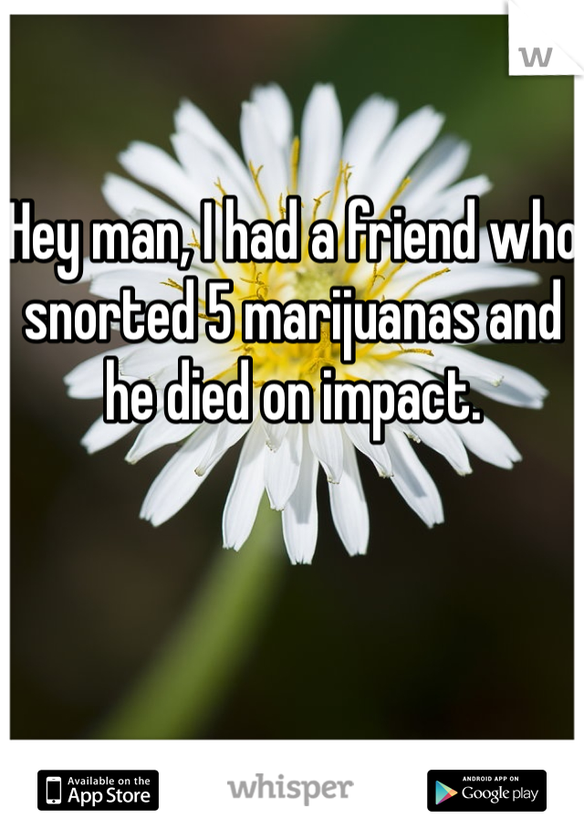 Hey man, I had a friend who snorted 5 marijuanas and he died on impact.