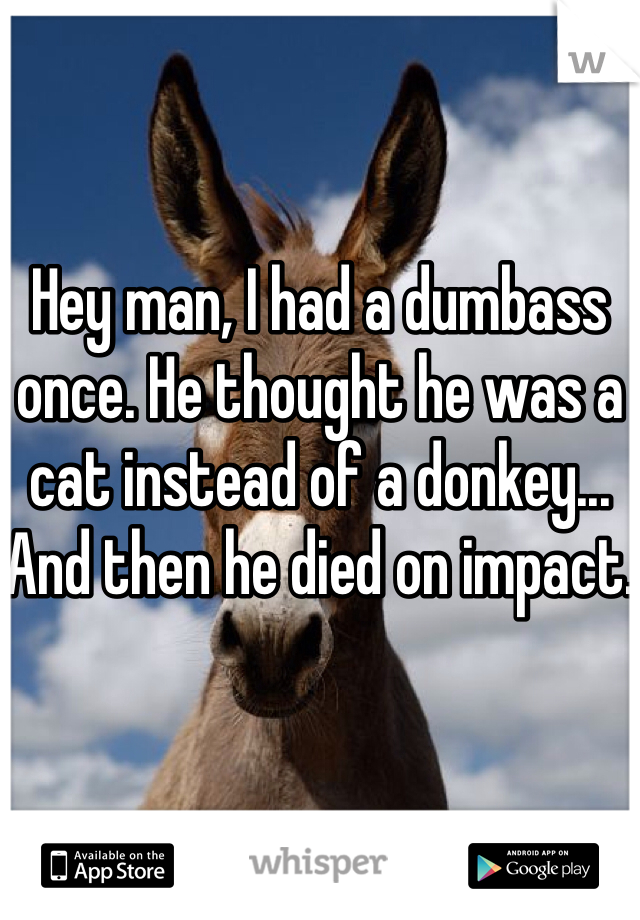 Hey man, I had a dumbass once. He thought he was a cat instead of a donkey... And then he died on impact.