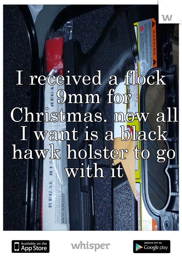 I received a flock 9mm for Christmas. now all I want is a black hawk holster to go with it