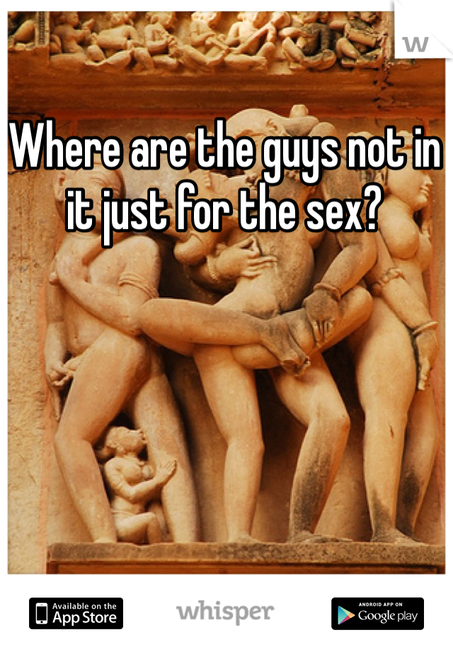 Where are the guys not in it just for the sex? 
