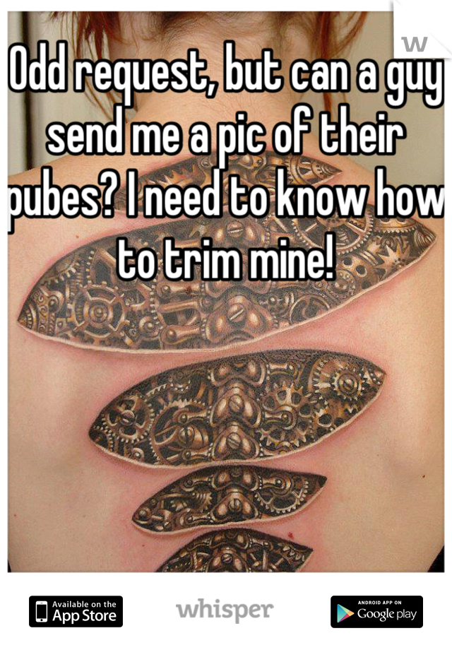 Odd request, but can a guy send me a pic of their pubes? I need to know how to trim mine!