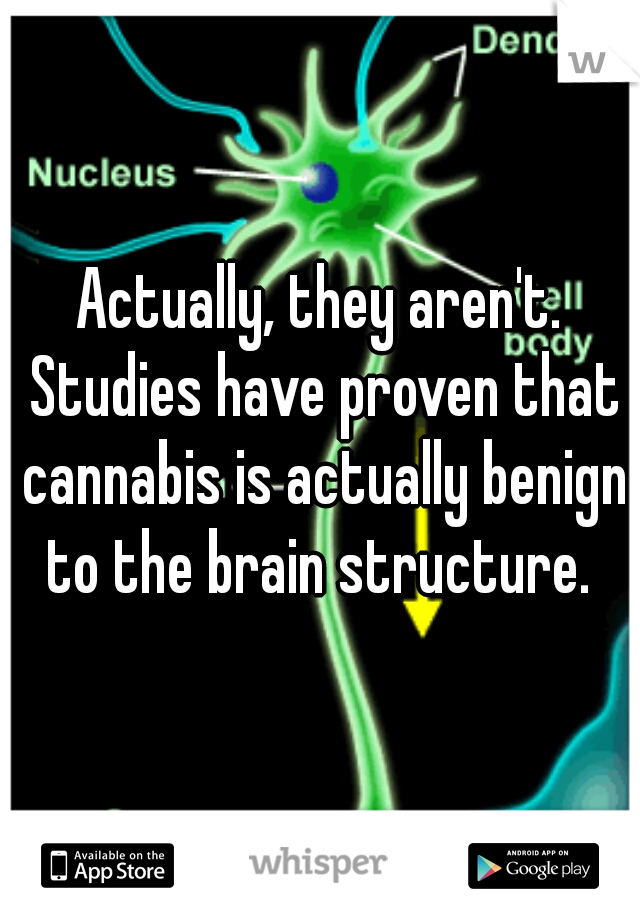 Actually, they aren't. Studies have proven that cannabis is actually benign to the brain structure. 