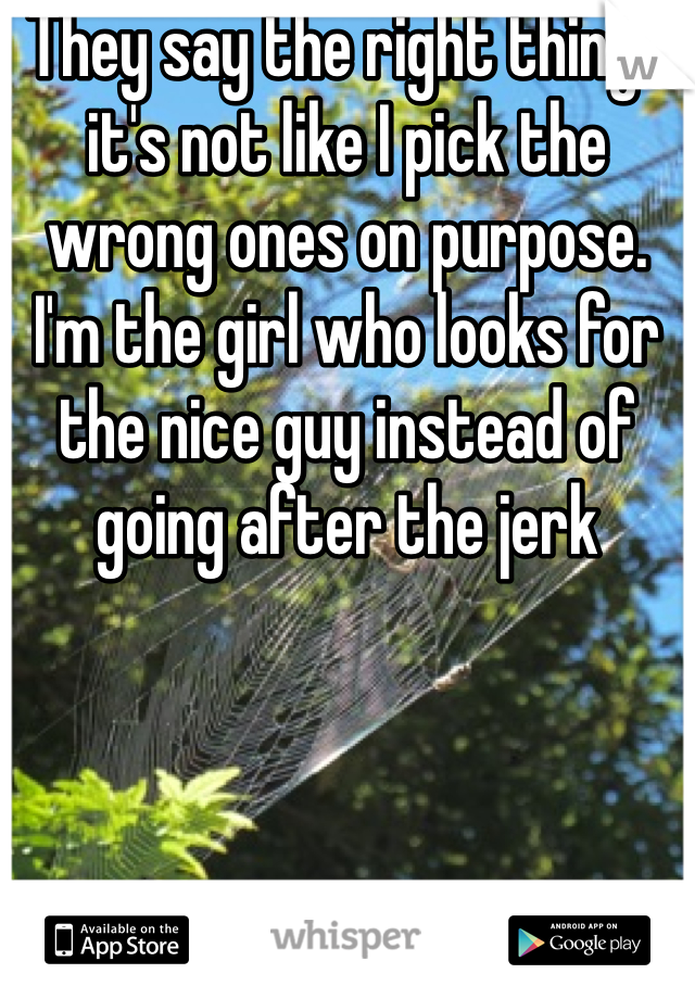 They say the right things it's not like I pick the wrong ones on purpose. I'm the girl who looks for the nice guy instead of going after the jerk