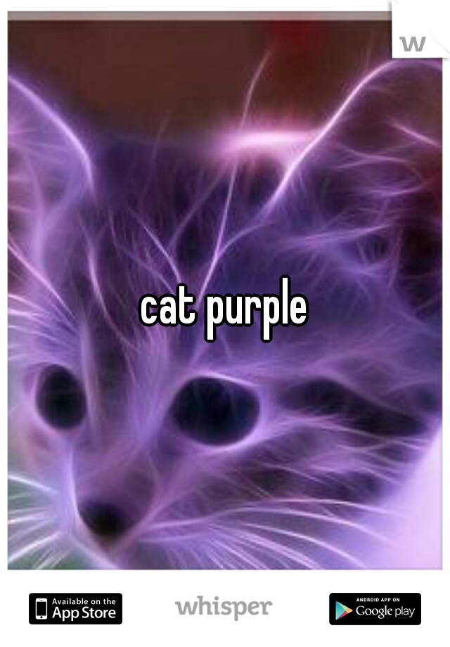 cat purple