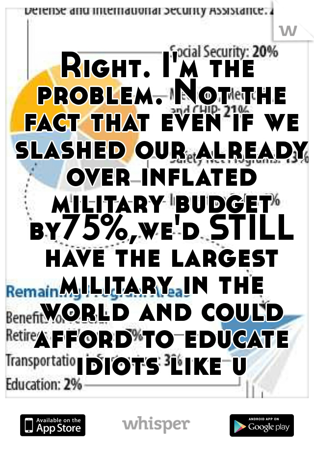 Right. I'm the problem. Not the fact that even if we slashed our already over inflated military budget by75%,we'd STILL have the largest military in the world and could afford to educate idiots like u