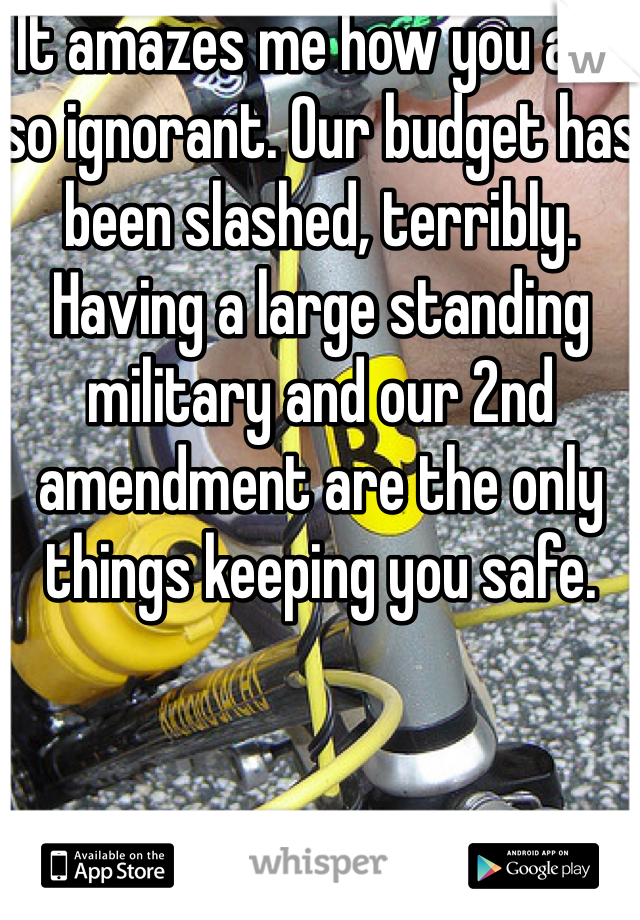 It amazes me how you are so ignorant. Our budget has been slashed, terribly. Having a large standing military and our 2nd amendment are the only things keeping you safe. 