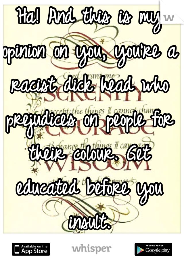 Ha! And this is my opinion on you, you're a racist dick head who prejudices on people for their colour. Get educated before you insult.