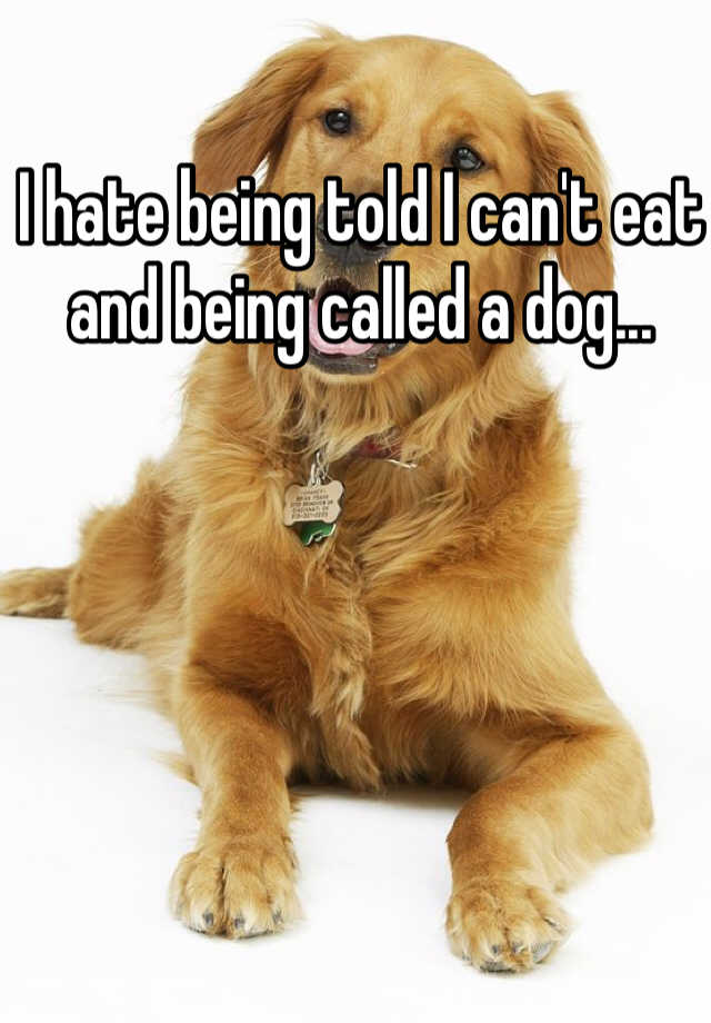 I hate being told I can't eat and being called a dog...