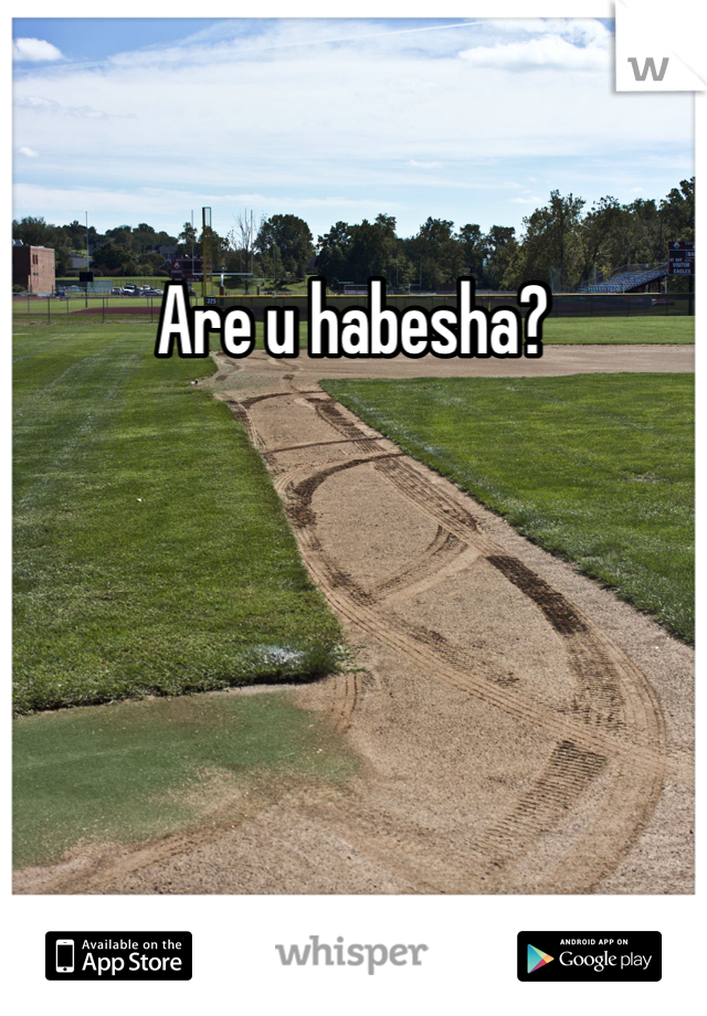 Are u habesha?