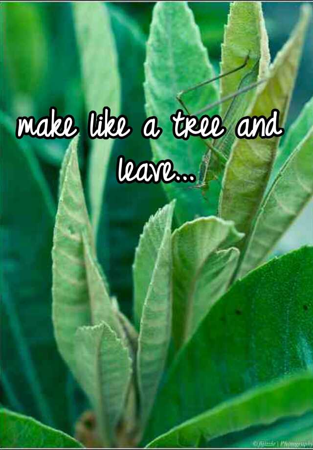 make like a tree and leaf or leave