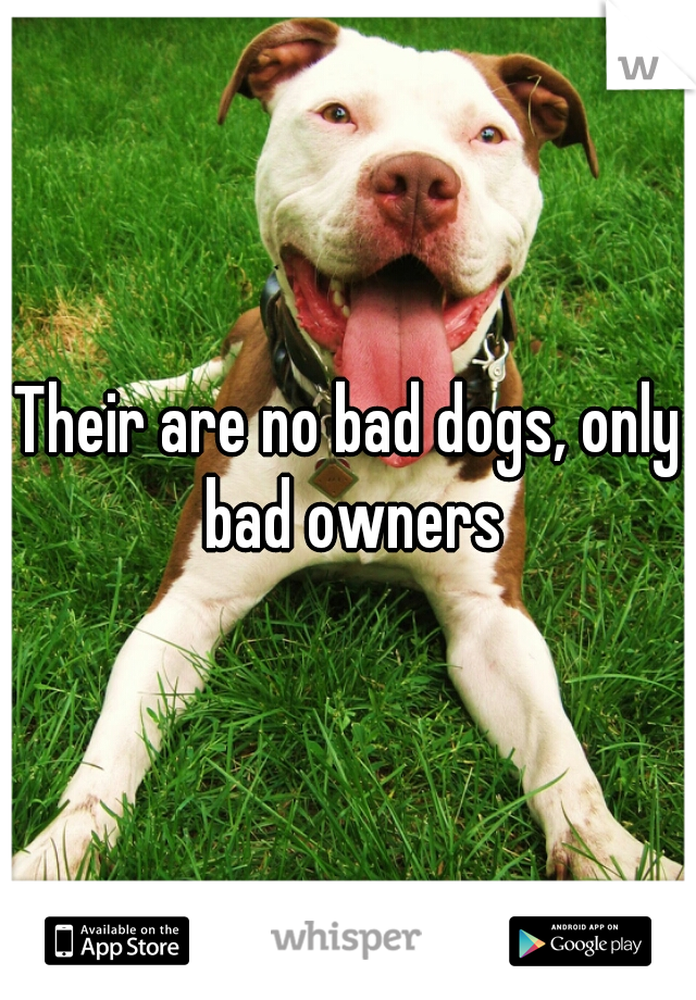 Their are no bad dogs, only bad owners