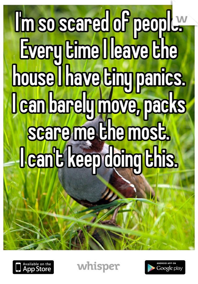 I'm so scared of people. 
Every time I leave the house I have tiny panics.
I can barely move, packs scare me the most. 
I can't keep doing this. 