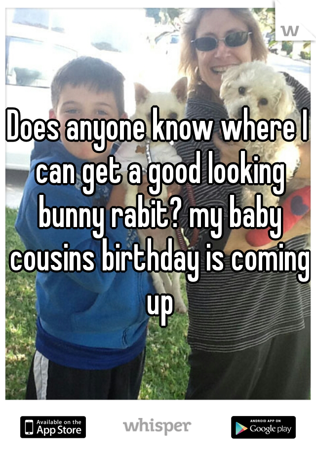 Does anyone know where I can get a good looking bunny rabit? my baby cousins birthday is coming up