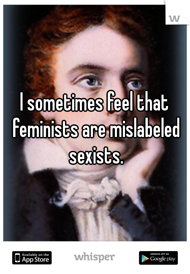 I sometimes feel that feminists are mislabeled sexists.