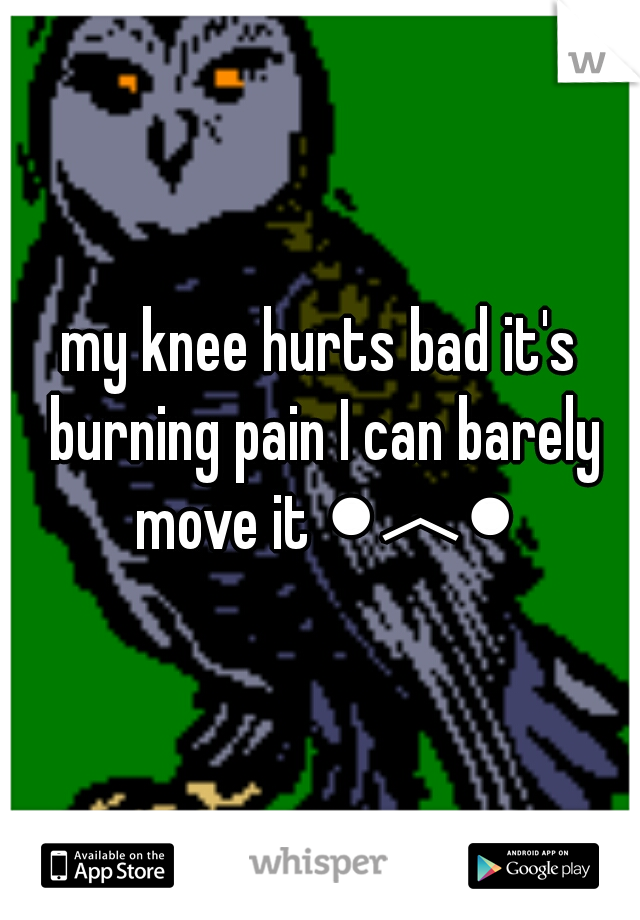 my knee hurts bad it's burning pain I can barely move it ●︿●