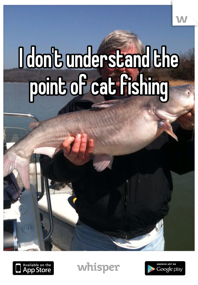 I don't understand the point of cat fishing