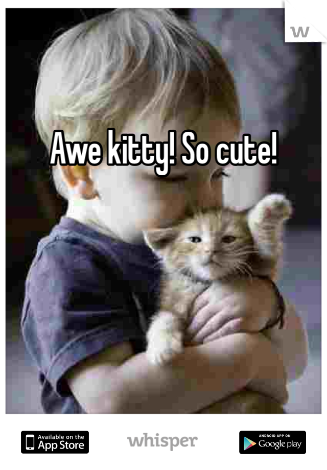 Awe kitty! So cute! 