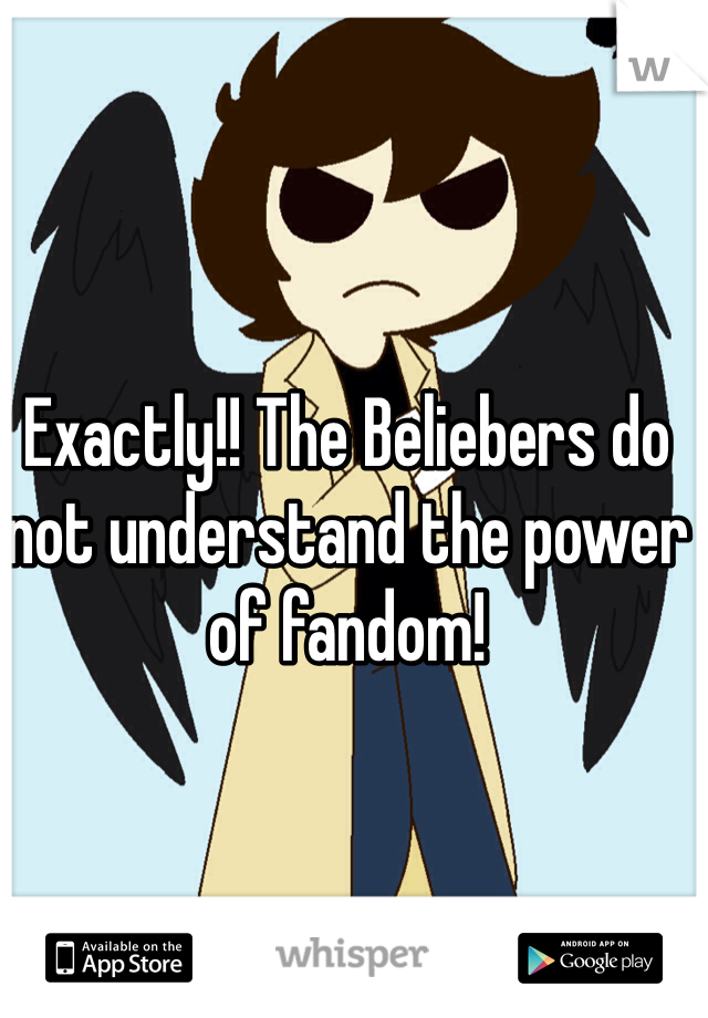 Exactly!! The Beliebers do not understand the power of fandom!