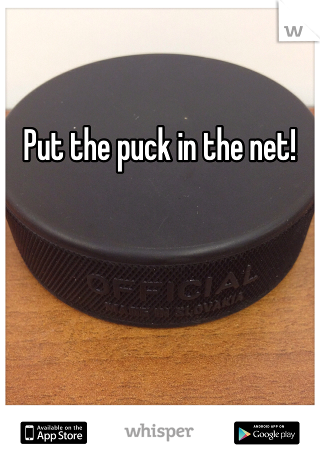 Put the puck in the net!