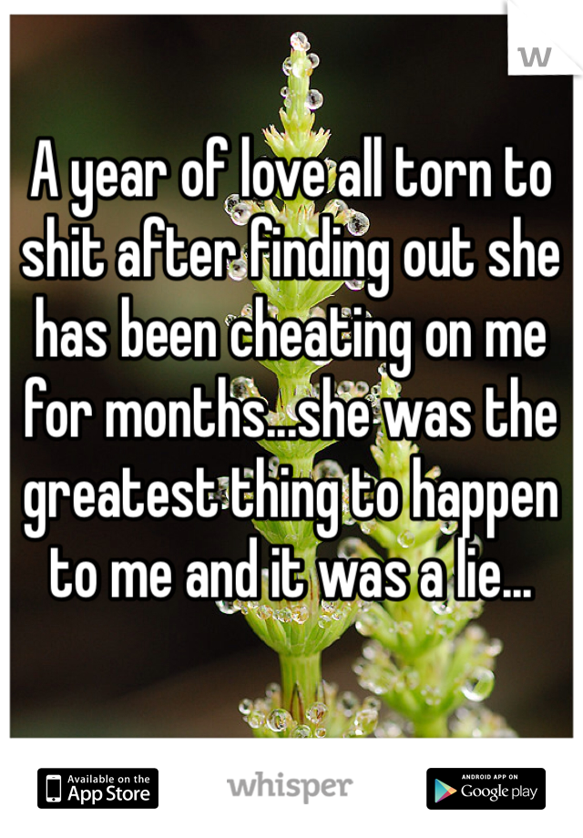 A year of love all torn to shit after finding out she has been cheating on me for months...she was the greatest thing to happen to me and it was a lie...