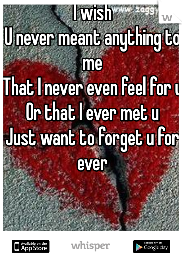I wish 
U never meant anything to me 
That I never even feel for u 
Or that I ever met u  
Just want to forget u for ever 