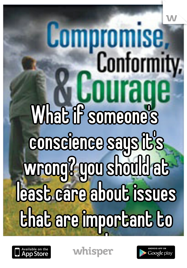 What if someone's conscience says it's wrong? you should at least care about issues that are important to people.