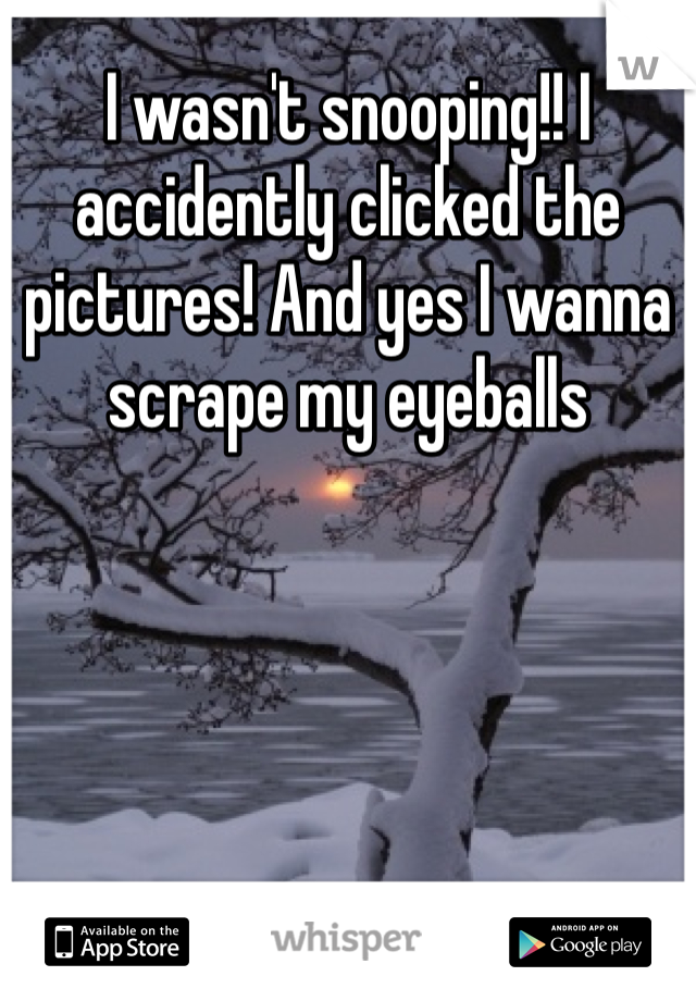 I wasn't snooping!! I accidently clicked the pictures! And yes I wanna scrape my eyeballs 