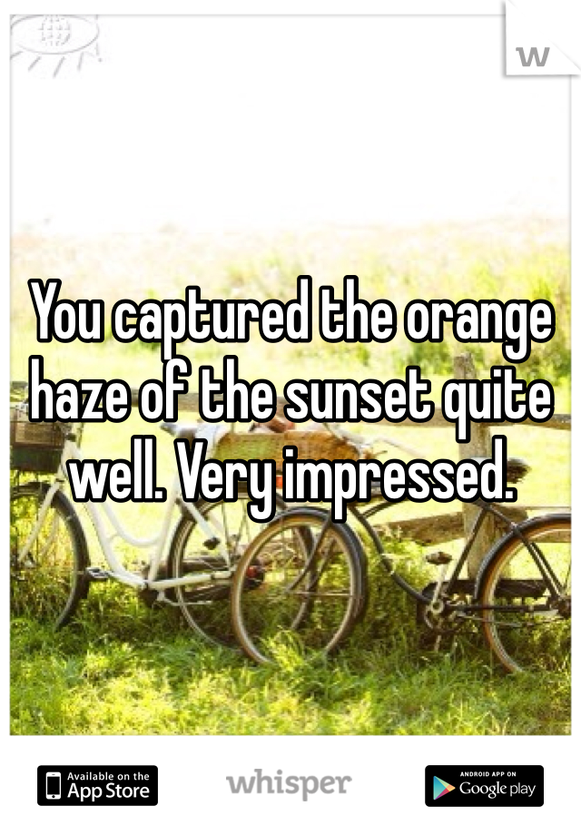You captured the orange haze of the sunset quite well. Very impressed. 