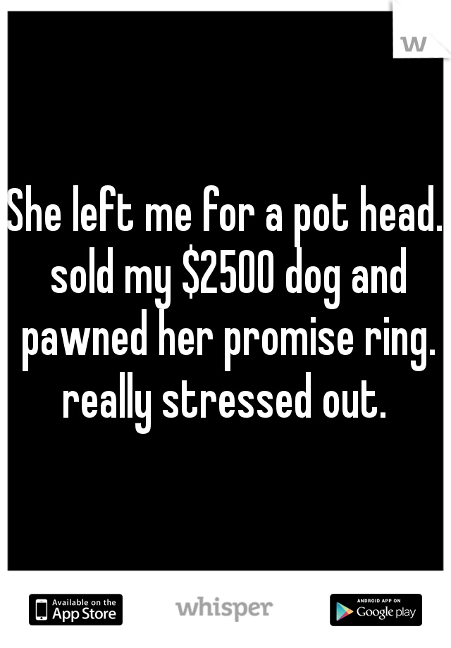 She left me for a pot head. sold my $2500 dog and pawned her promise ring. really stressed out. 