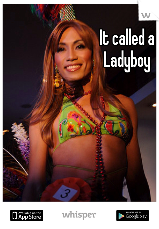 It called a 
Ladyboy