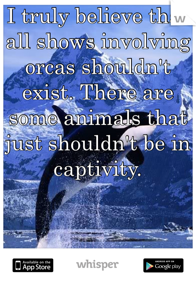 I truly believe that all shows involving orcas shouldn't exist. There are some animals that just shouldn't be in captivity.