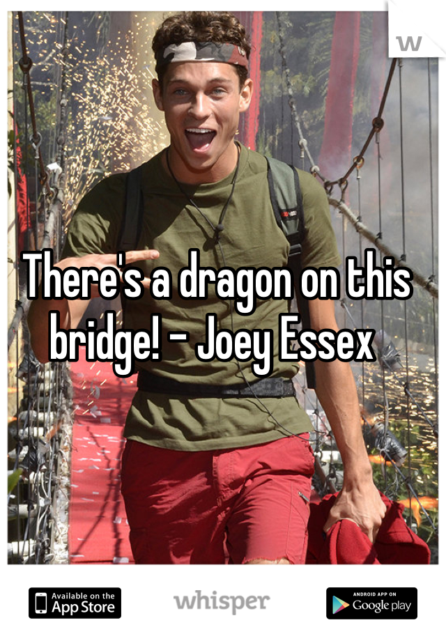 There's a dragon on this bridge! - Joey Essex 
