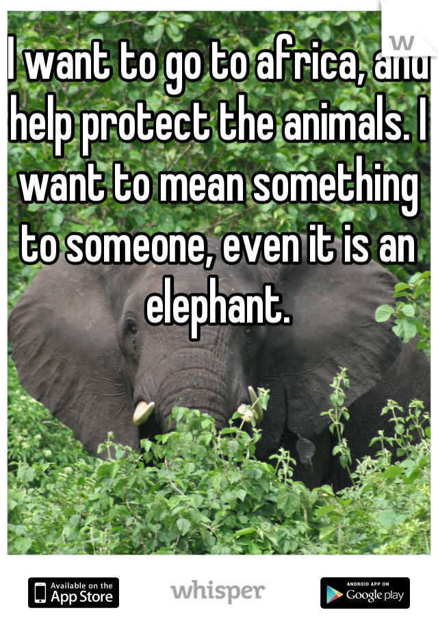 I want to go to africa, and help protect the animals. I want to mean something to someone, even it is an elephant.