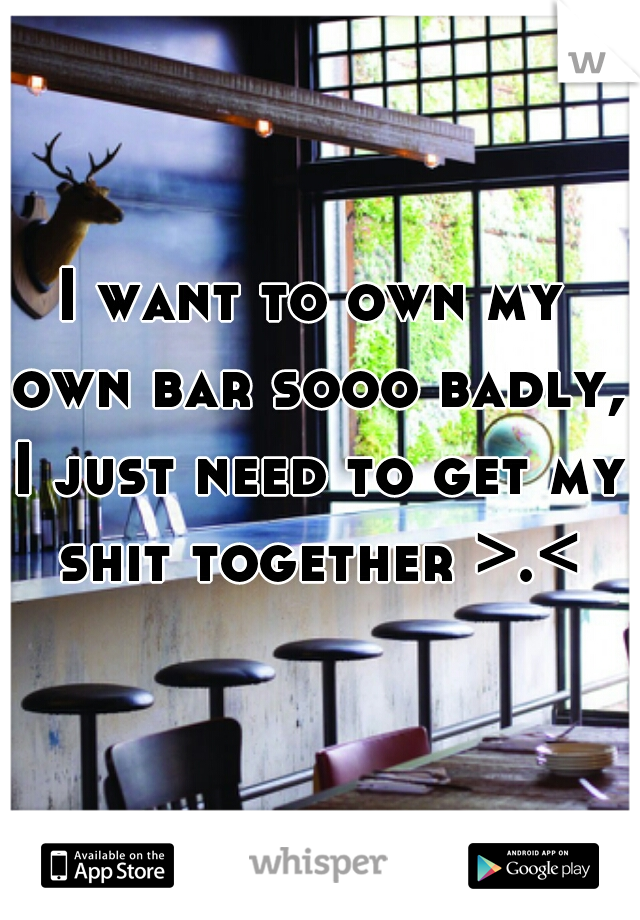 I want to own my own bar sooo badly, I just need to get my shit together >.<