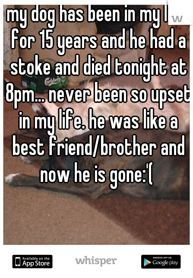 my dog has been in my life for 15 years and he had a stoke and died tonight at 8pm... never been so upset in my life. he was like a best friend/brother and now he is gone:'( 