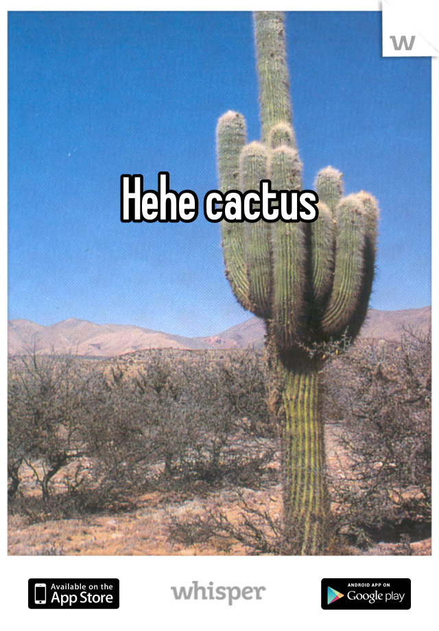 Hehe cactus  