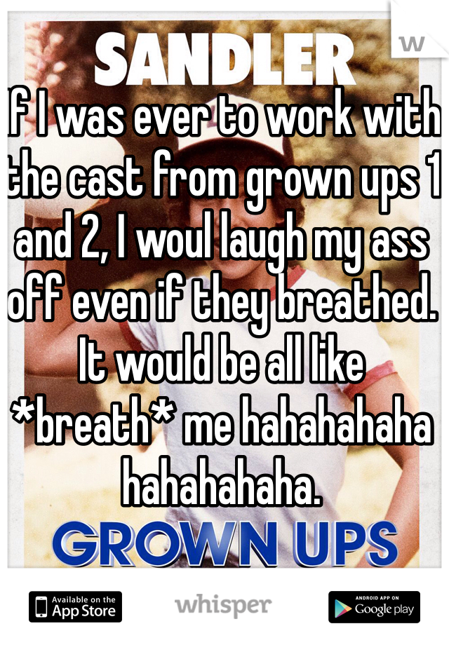 If I was ever to work with the cast from grown ups 1 and 2, I woul laugh my ass off even if they breathed. It would be all like *breath* me hahahahaha hahahahaha.