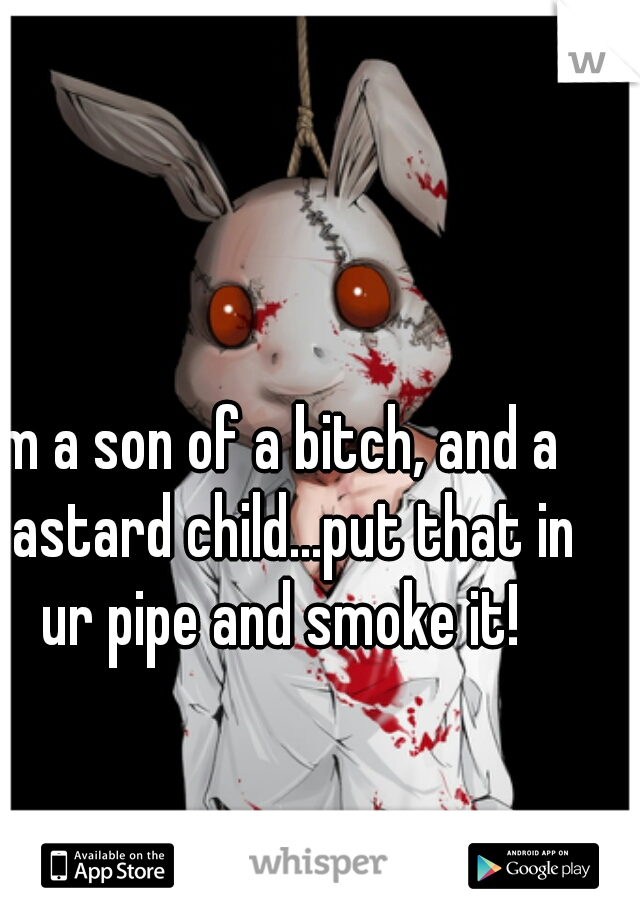 Im a son of a bitch, and a bastard child...put that in ur pipe and smoke it!