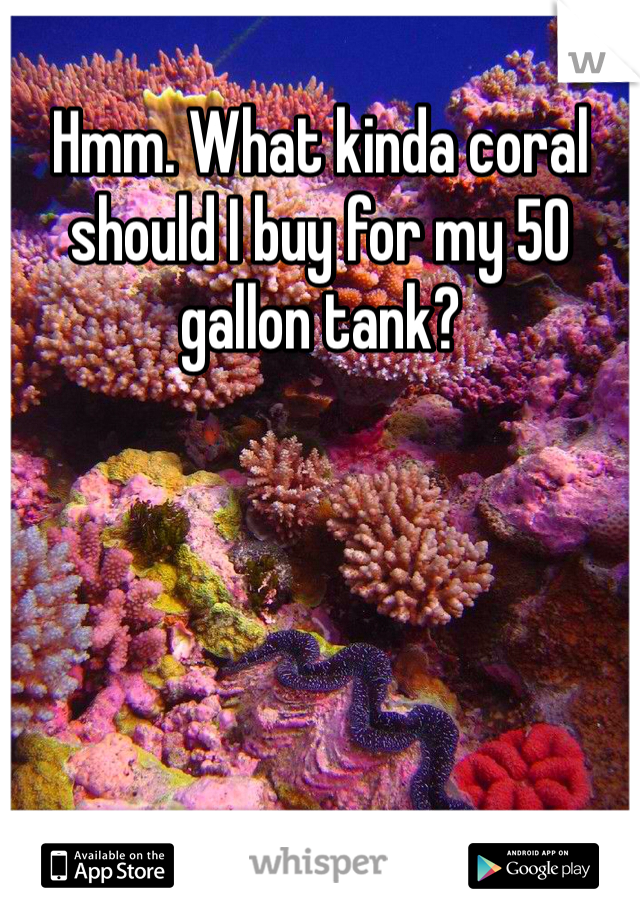 Hmm. What kinda coral should I buy for my 50 gallon tank?
