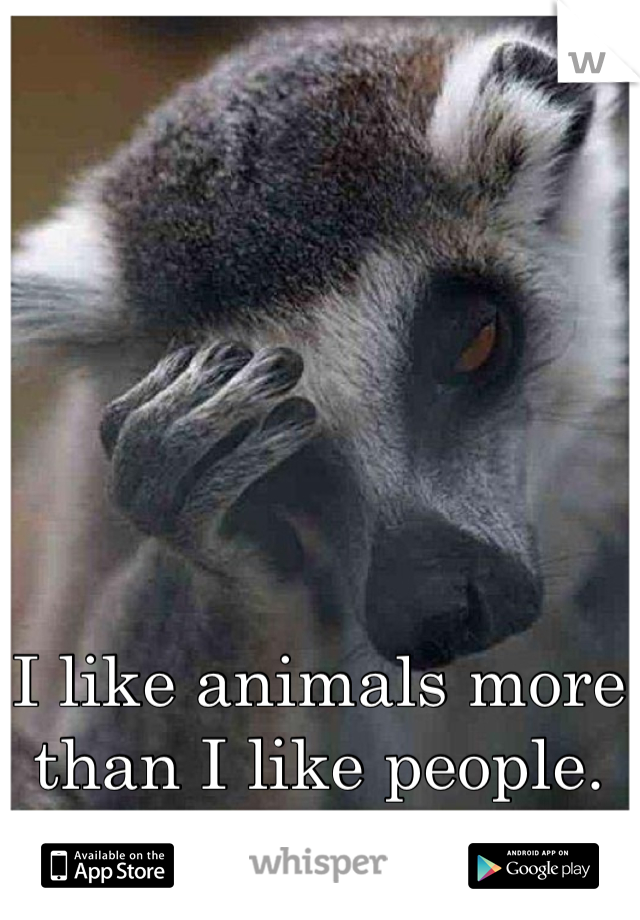 I like animals more than I like people.