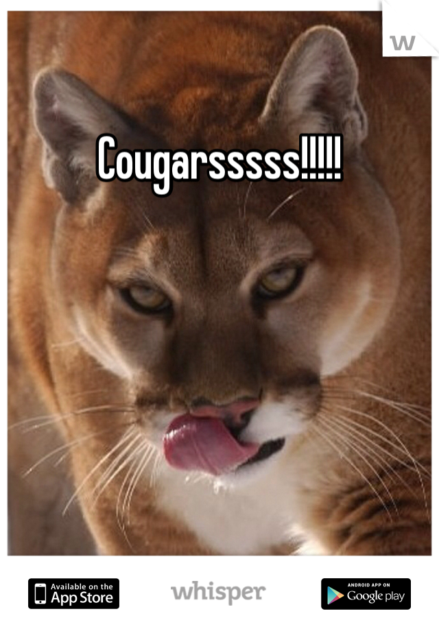 Cougarsssss!!!!!