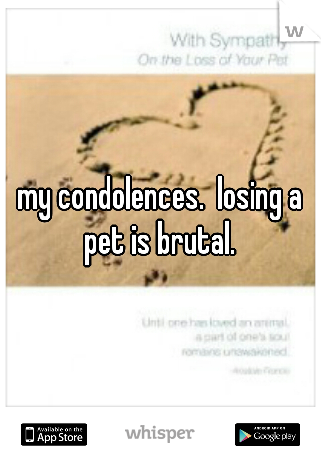 my condolences.  losing a pet is brutal. 